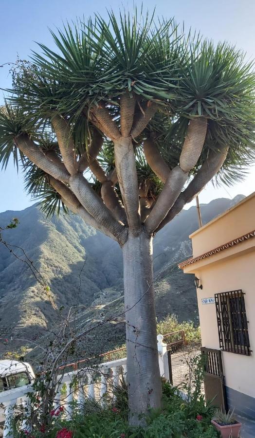 Casa Noni Villa Santa Cruz de Tenerife Eksteriør bilde